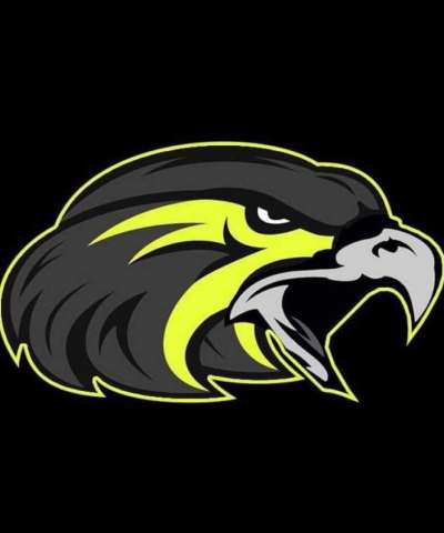 Quad City Nighthawks Logo