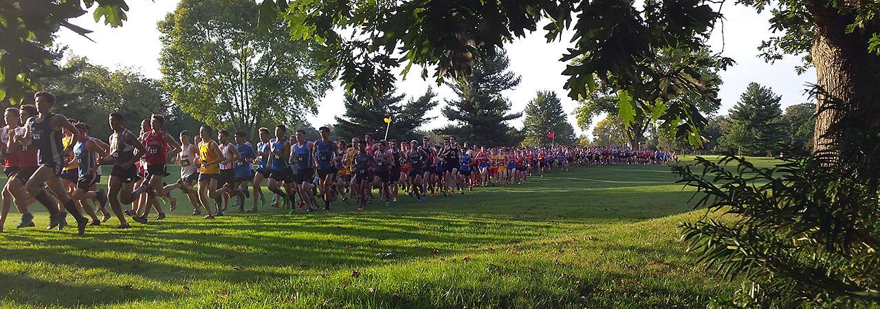 Large group of runners in cross country race
