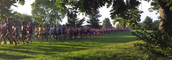 Large group of runners in cross country race